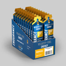 Load image into Gallery viewer, Applied Nutrition Endurance Isotonic Energy Gel - 20 x 60g sachet

